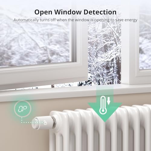 41XyBMggm0L. AC .jpg