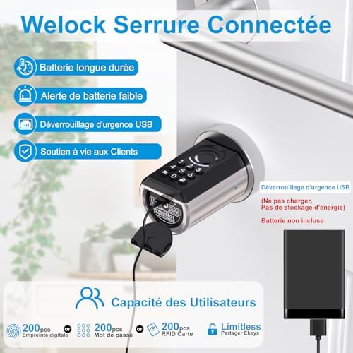 51roNLLLWSL. AC .jpg