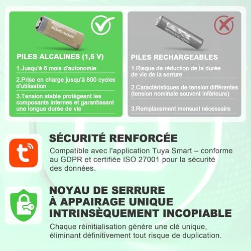 51tU8GS5SgL. AC .jpg